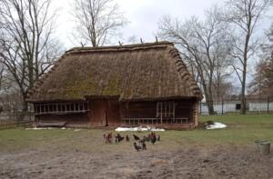 278597252 965220587528595 186655524224894167 n