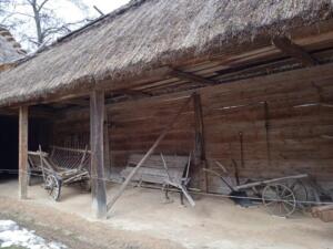 278616301 741867066988033 8132763019683894345 n