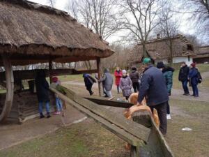 278623787 732205497911691 8772337607923618847 n