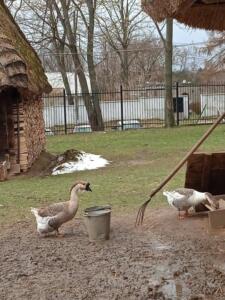 278645118 947195262621190 3693452630863188403 n