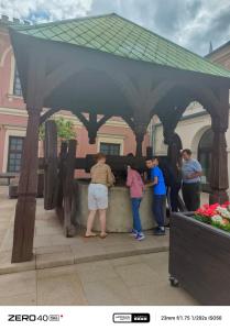 IMG 20250624 134856 301