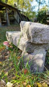 43b9f02bde57d3633644c87f1606b7cc