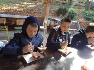 ab0f96ea2bbf78fda8a72f9eb70415b5