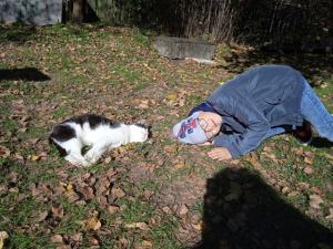 d9dfedbbc5774e224510cf7ddac967df