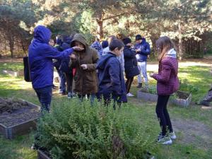 ff2cba7c33be57f392891a7c93b2e441