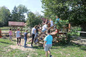 IMG 7674