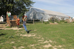 IMG 7682
