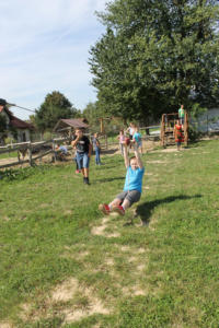 IMG 7701