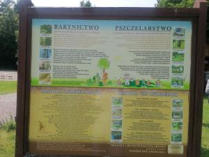 IMG 20250610 131319