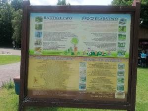 IMG 20250610 131734