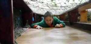 45814591 886163128252825 1841584601026265088 o