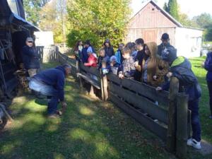 IMG 20211007 133418 1