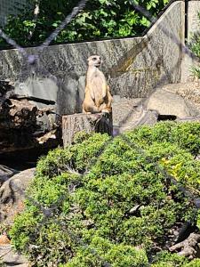 Messenger creation 33FFFC1A-6033-4544-8FDF-701C14D29484