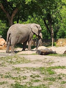 Messenger creation 98D23639-220F-4EA6-91BC-B6CDF07E49DE